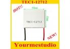 Thermoelectric Cooler Peltier TEC1-12712  40*40mm  FOR HOT SALE high-quality  