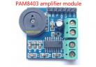 Amplifier Module PAM8403 amplifier module audio amplifier module factory