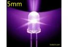 LEDs  5mm Ultra Bright Round Purple Light LED Diode factory