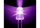 LEDs  5mm Ultra Bright Round Purple Light LED Diode factory