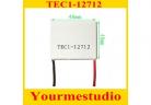 Thermoelectric Cooler Peltier Thermoelectric Cooler Peltier TEC1-12712  40*40mm  FOR HOT SALE high-quality   factory
